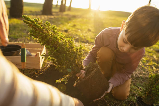 istock Father and son planting trees outdoors in springtime 2148495247