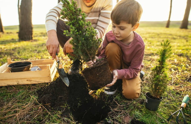 istock Father and son planting trees outdoors in springtime 2148495249
