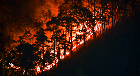 Forest fire in hilly terrain at night time.