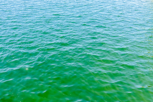 surface of blue water, in Sweden Scandinavia North Europe