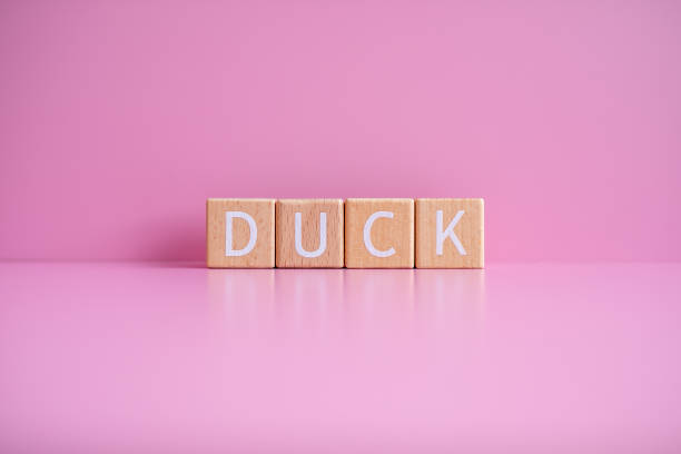 istock Wooden blocks form the text DUCK against a pink background 2148503427