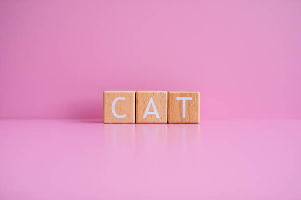 istock Wooden blocks form the text CAT against a pink background 2148503429