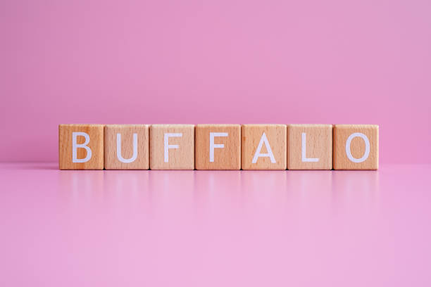 istock Wooden blocks form the text BUFFALO against a pink background 2148503430
