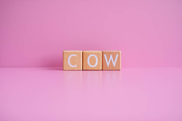 istock Wooden blocks form the text COW against a pink background 2148503431