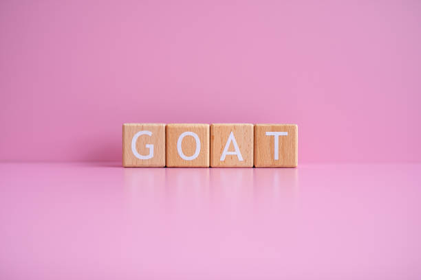 istock Wooden blocks form the text GOAT against a pink background 2148503437