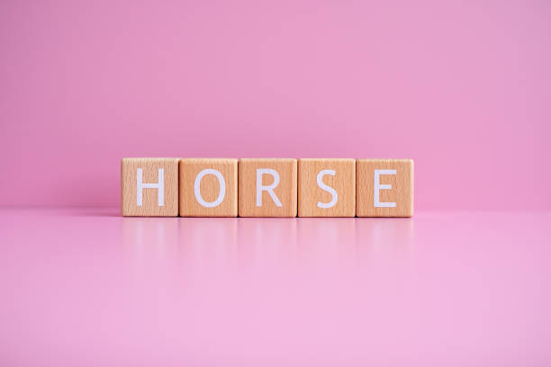 istock Wooden blocks form the text HORSE against a pink background 2148503439