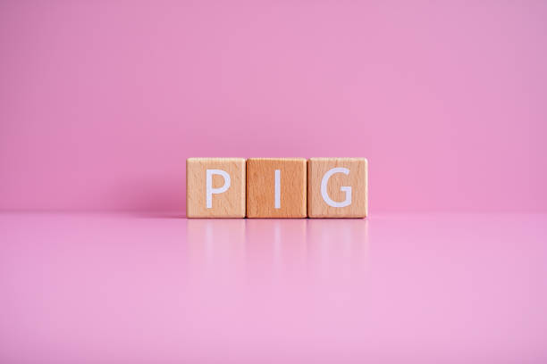 istock Wooden blocks form the text PIG against a pink background 2148503440