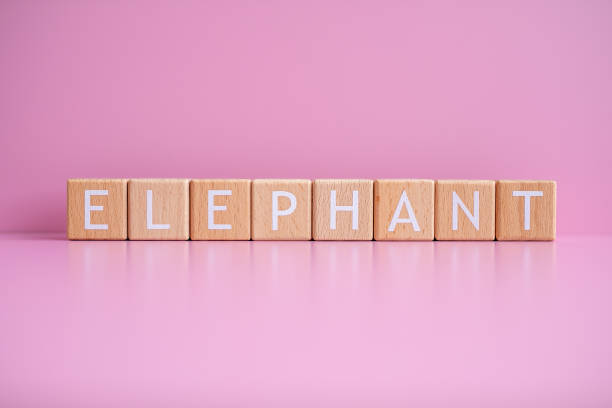 istock Wooden blocks form the text ELEPHANT against a pink background 2148503441