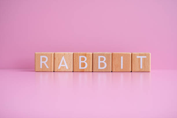 istock Wooden blocks form the text RABBIT against a pink background 2148503450