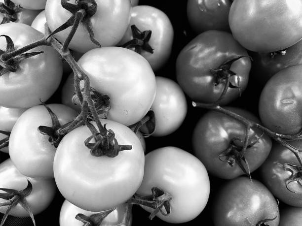 istock Shiny ripe vine tomatoes ready to eat 2148508438