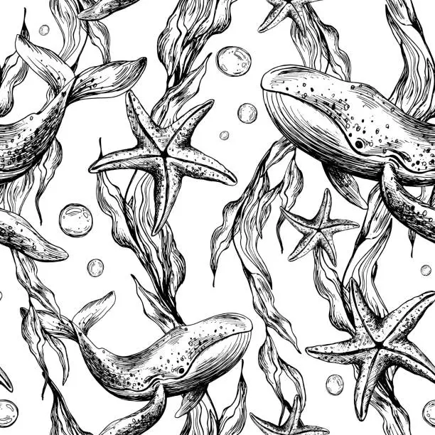 Vector illustration of Underwater world clipart with sea animals whale, starfish, bubbles and algae. Graphic illustration hand drawn in black ink. Seamless pattern EPS vector.