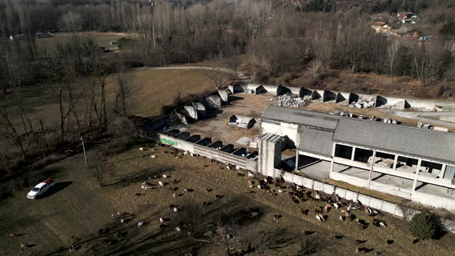 Aerial view of a flock of sheep next to a farm