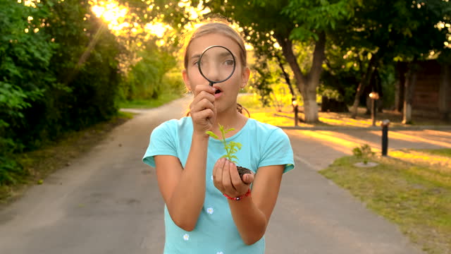 children look through a magnifying glass in nature. selective focus. kid.