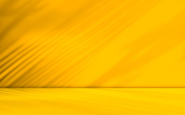 istock Yellow Pastel Podium Background Product Light Abstract Shadow Leaf Wallpaper Gradient Floor Wall Concept Table Product Pattern Minimal Mockup Elegant Empty Platform Kitchen Backdrop Loft. 2148512334