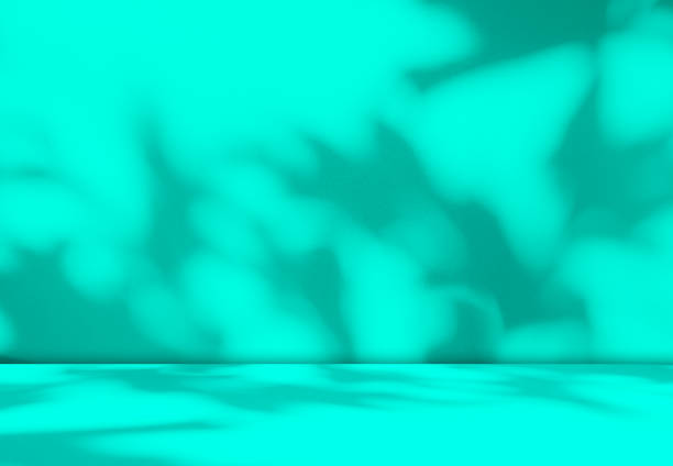 istock Green Shadow Backdrop Background Product 3d Bg Light Leaf Wall Podium Abstract Leaves Minimal Table Presentation Summer Tropic, Loft Backdrop Platform Pastel Gradient Two Tone Studio Floor Scene Bar. 2148512365