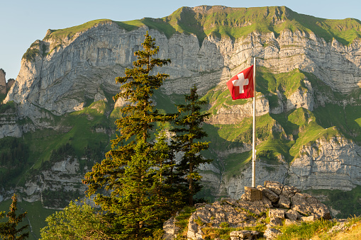 View of a Swiss flag high up in the mountains.Alpstein mountains in the background. Marwees mountain in the background. Appenzellerland. Alpine mountains and pine trees in the background.