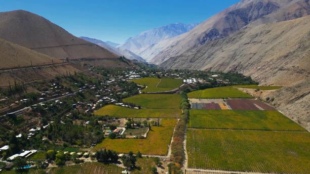 View of agriculture field