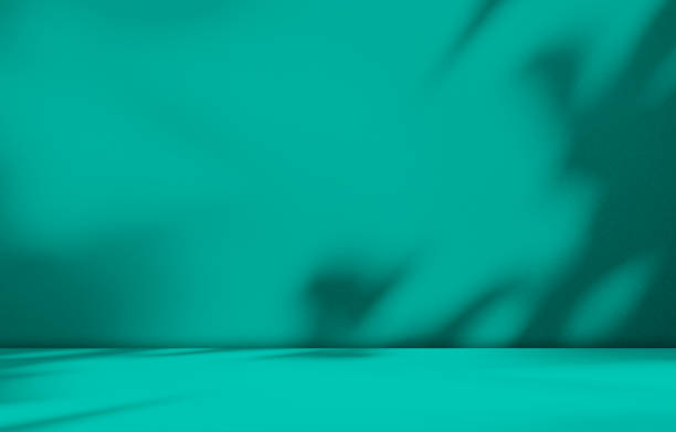 istock Green Shadow Backdrop Background Product Light Leaf Wall Podium Abstract Leaves Minimal Table Presentation Summer Tropic, Loft Backdrop Platform Pastel Gradient Two Tone Studio Floor Scene Bar. 2148515002