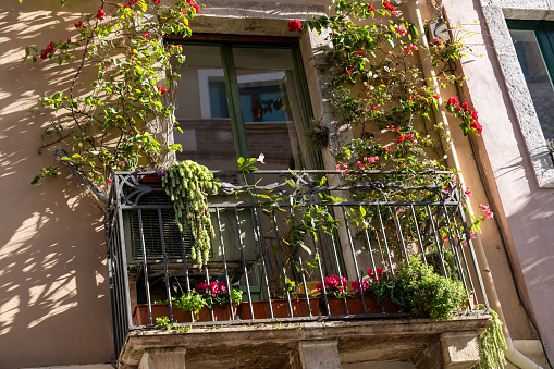 A balcony with a railing and a window. The railing is covered with plants and flowers. The balcony is on a building with a brown exterior