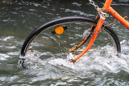 A bicycle is in the water with its front tire missing. The water is murky and the bike is in a state of disrepair