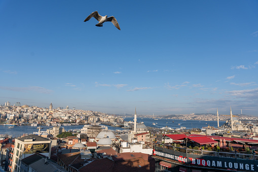 A bird flies over a city with a red sign that says Mooam Lounge. The sky is clear and blue, and the city is bustling with activity