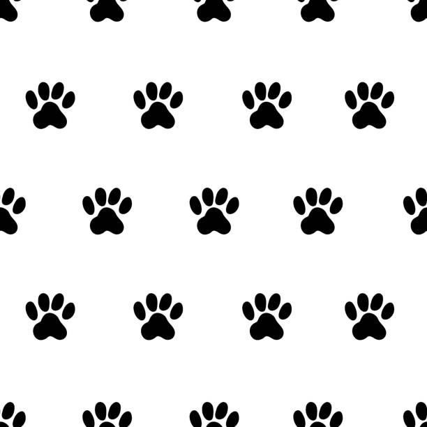 бесшовный узор лапы питомца, собаки или кошки текстура отпечатка ноги, фон животного. - animal hospital audio stock illustrations