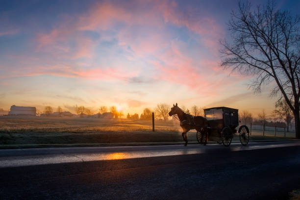 Amish buggy at dawn Amish buggy at dawn on rural road. Amish stock pictures, royalty-free photos & images