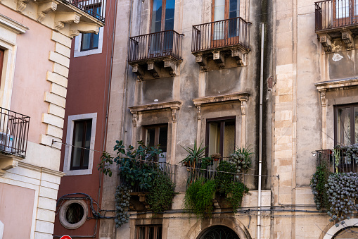 A building with a balcony has a plant in a pot on it. The balcony is on the second floor
