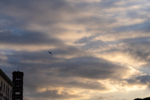 A bird flies in the sky above a building. The sky is cloudy and the sun is setting