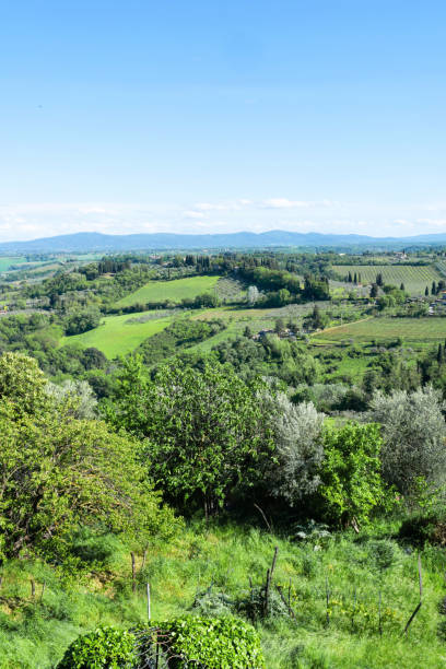 istock Panoramic beautiful rural landscape of Toscana. Green fields and meadows 2148518695