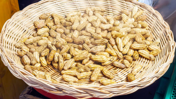 istock Wicker basket overflows with golden-brown roasted peanuts 2148518976