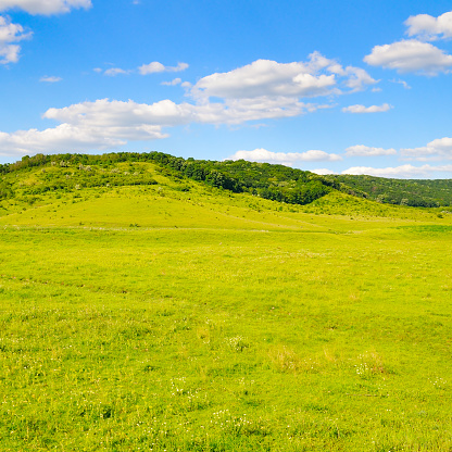 Green meadow, trees and hills. Beautiful summer landscape, Moldova.