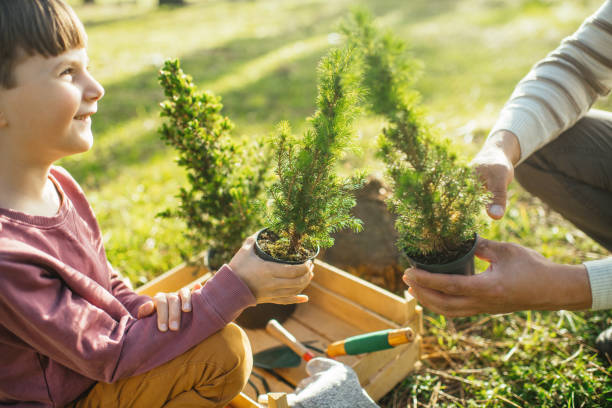 istock Father and son planting trees outdoors in springtime 2148521115