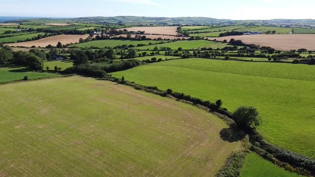 Green Irish fields, top view. Agricultural landscape on a summer day, drone video. The countryside of the Irish south.