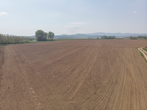 Agricultural field prepared for sowing
