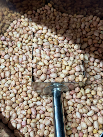 Stock photo showing close-up, elevated view of shelled peanuts pile in stainless steel container, with metal scoop for customers to serve themselves peanuts for healthy eating diet food snacks, nuts high in protein.