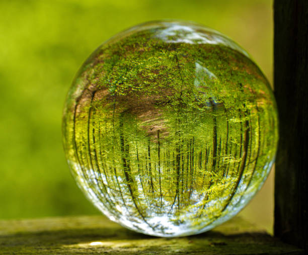 A glass ball filled with liquid reflects an image of trees, grass, and a yard, creating a beautiful piece of art with tints and shades