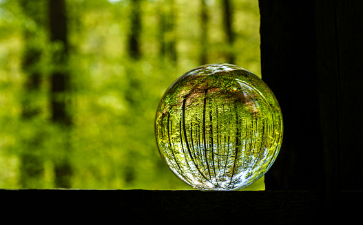 A glass ball filled with liquid reflects an image of trees, grass, and a yard, creating a beautiful piece of art with tints and shades