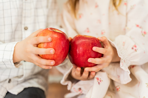 A boy and a girl are holding red apples in their hands. No faces. Concept, food, school, recess, proper nutrition