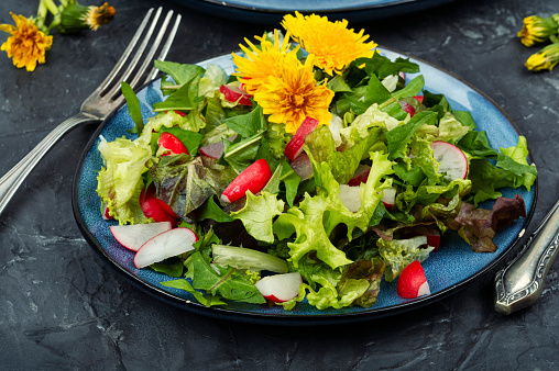 Spring herbal salad of greens, radishes and dandelions.