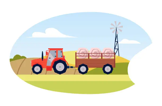 Vector illustration of Vector illustration for agriculture: A red tractor on a trailer transports large bales of hay across farm fields