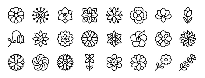 set of 24 outline web flowers icons such as periwinkle, pincushion, bougainvillea, chrysanthemum, jade, pansy, orchid vector icons for report, presentation, diagram, web design, mobile app