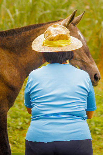 Elderly woman tenderly petting brown horse in green pasture.
