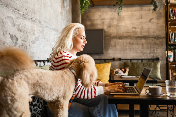 istock Young Woman with Pet Multitasks with Laptop and Coffee 2148530914