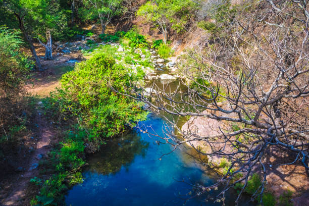 Río con piedras visto desde arriba en una montaña, en palmillas Guerrero