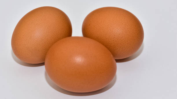 istock animal foods and chicken eggs photos 2148534896