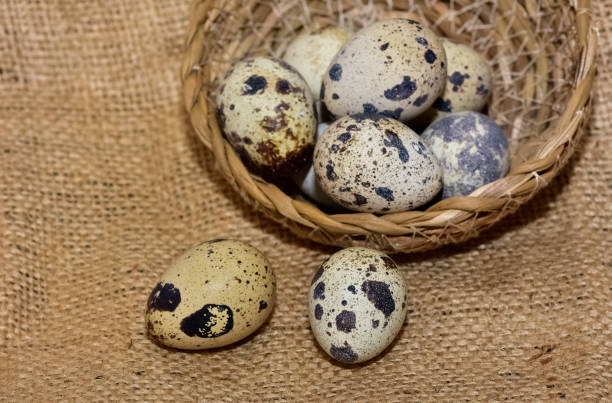 Fresh Quail Eggs in a Pink Colander, Tenjo, Cundinamarca, Colombia. Close-up of Speckled Quail Eggs in a Kitchen Sink, Highlighting Their Unique Patterns and Colors