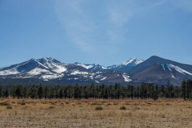 istock snowy mountain close up with grassland meadow and forest 2148536904
