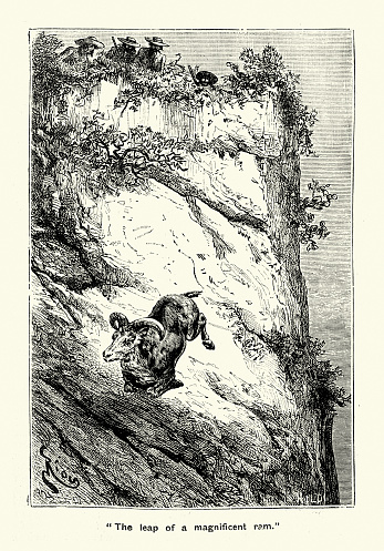 Vintage illustration Hunters chasing a bighorn sheep ram, American far west, Victorian 19th Century.  The Silver Canon a story of the American far west