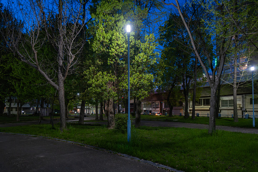 日の落ちた薄暗い公園と街灯